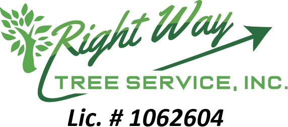 Right Way Tree Removal & Trimming in action for safe tree removal and trimming